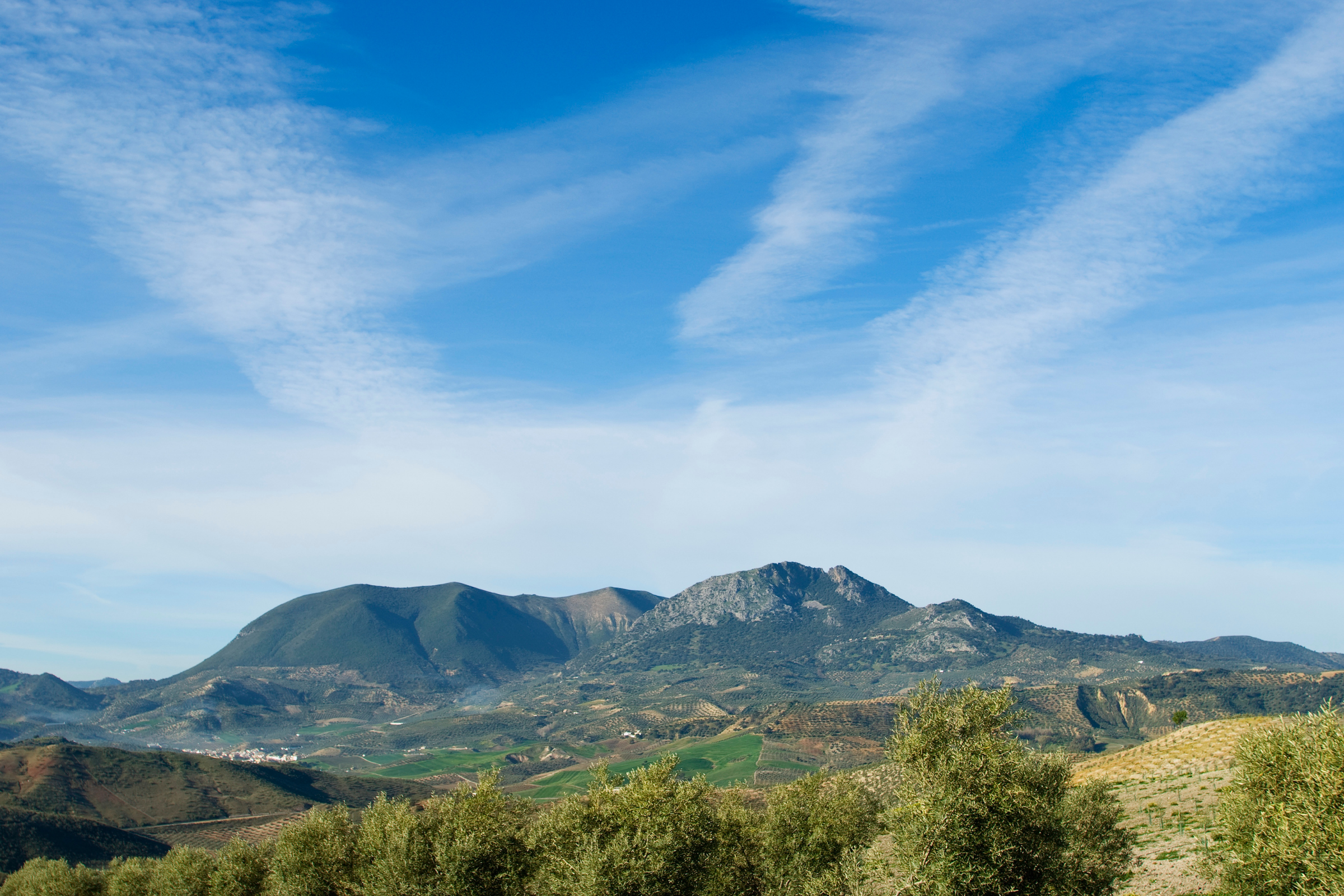 Algamitas[1].webp